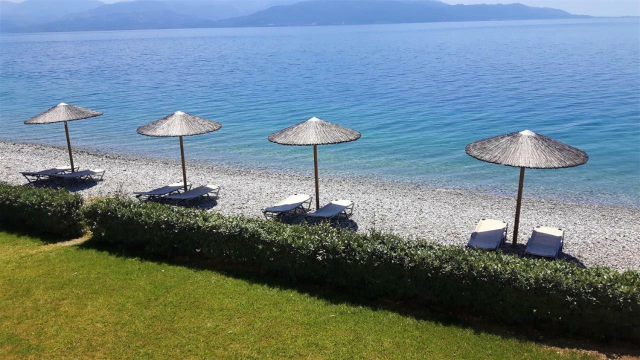 Villa Thalassa Paralia Sergoulas Eksteriør bilde